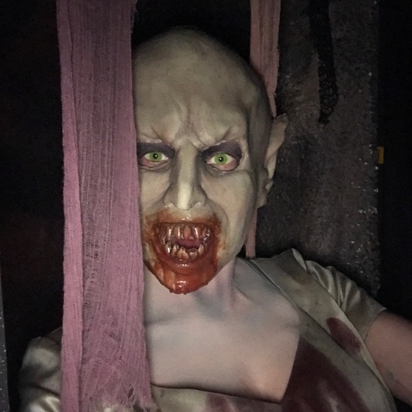 Meet your Posher, Hillary - Picture 1 of 1